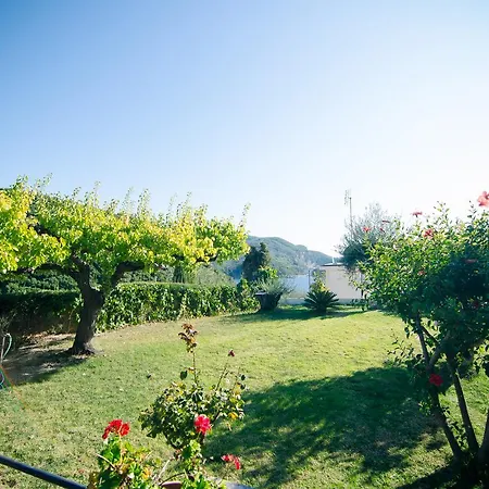 Noufaro